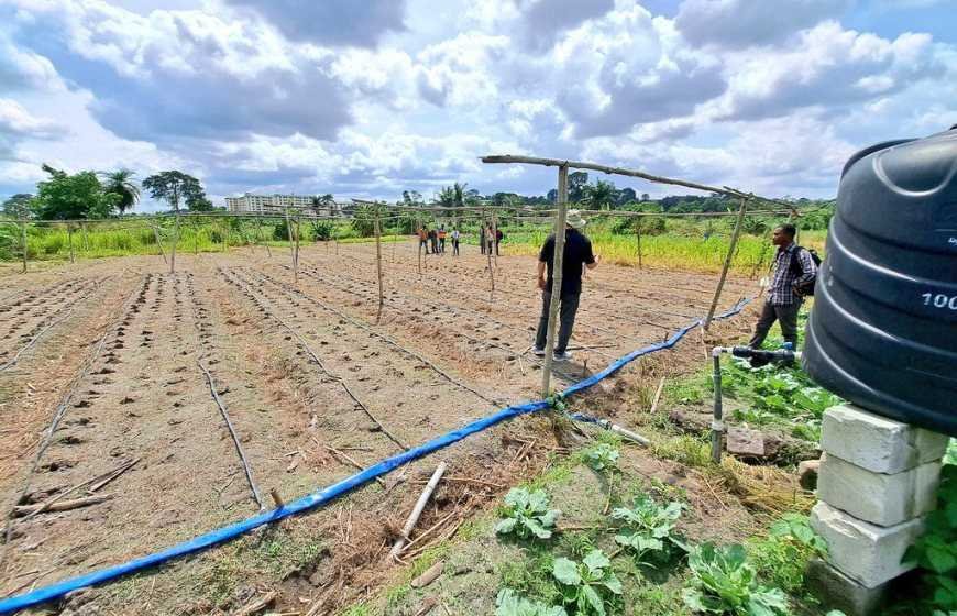 drought:-let’s-not-depend-on-rains-for-farming-–-imani-president